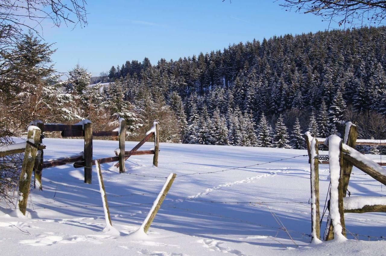 Chalet "A L Oree Du Bois" Bullange Exterior photo